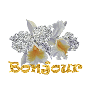 Gif animé bonjour